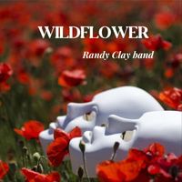 Randy Clay Band - Wildflower