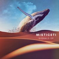 Misticeti - Signals