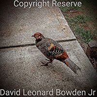 David Leonard Bowden Jr. - Copyright Reserve