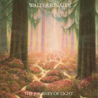 Walter Rinaldi - The Journey of Light