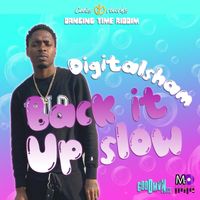 Digital Sham - Back It up Slow
