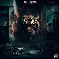 An-ten-nae - I Am Tiger