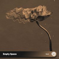 Numb - Empty Space