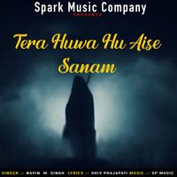 Navin M. Singh - Tera Huwa Hu Aise Sanam