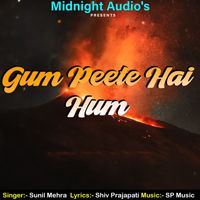 Sunil Mehra - Gum Peete Hai  Hum