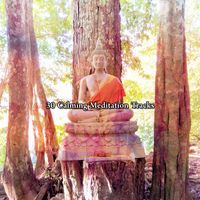 Yoga Sounds - 30 Calming Meditation Tracks
