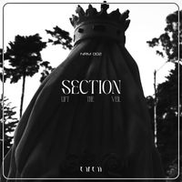 Section - Lift the Veil