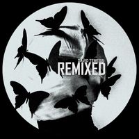 David Temessi - Remixed