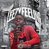 Poppy - Leezy Feeling (Explicit)