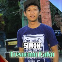 Simon - Tresnomu Palsu