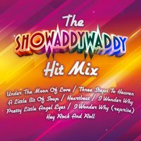 Showaddywaddy - The Showaddywaddy Hit Mix