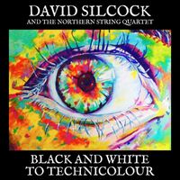 David Silcock, The Northern String Quartet - Black and White to Technicolour