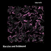 Narziss and Goldmund - Labyrinth