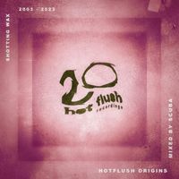 Various Artists - Hotflush Origins - Hotflush 20 (Unmixed)