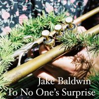 Jake Baldwin - To No One's Surprise