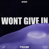 Aykay - Wont Give In