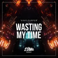 Vinylsurfer - Wasting My Time