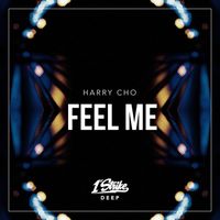 Harry Cho - Feel Me