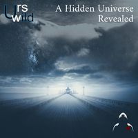 Urs Wild - A Hidden Universe Revealed