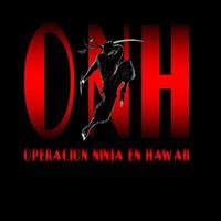Operacion Ninja en Hawaii - Operacion Ninja en hawaii (primer disco)