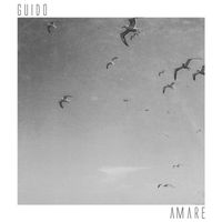 Guido - Amare