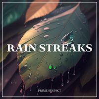 Prime Suspect - Rain Streaks
