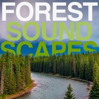 Jonathan Elias, David Ashok Ramani - Forest Soundscapes