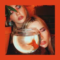 Fionn - Goldfish (Explicit)