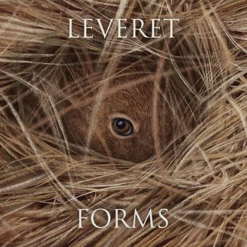 Leveret - Forms