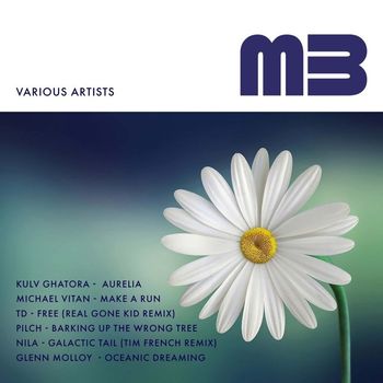 Various Artists - Various Artists