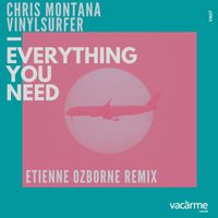 Chris Montana, Vinylsurfer - Everything You Need (Etienne Ozborne Remix)