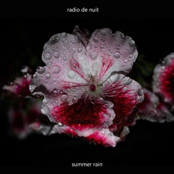 Radio de Nuit - Summer Rain