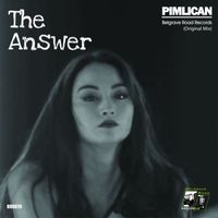 Pimlican - The Answer (Original Mix)