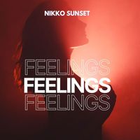 Nikko Sunset - Feelings