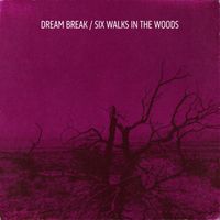 DREAM BREAK - SIX WALKS IN THE WOODS