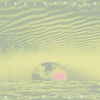 Skuldpadda - Wild Card