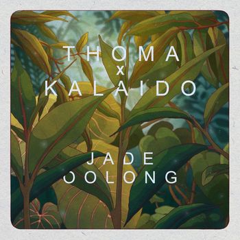 Thoma - Jade Oolong
