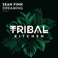 Sean Finn - Dreaming