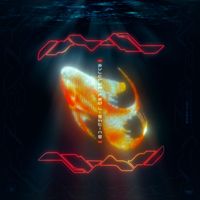 FVLCRVM - Red Lighting