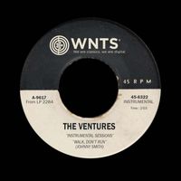 The Ventures - Instrumental Sessions