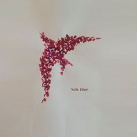 Yolk - Ellen