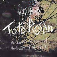 Acid Head - Tote Rosen