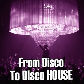 Various Artists - From Disco to Disco House