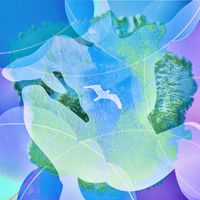 The Shanghai Restoration Project - Swimming in Purple Clouds