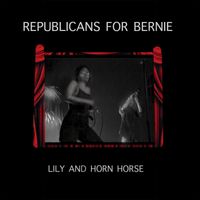 Lily & Horn Horse - Republicans for Bernie