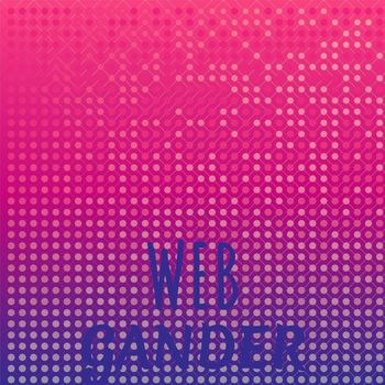 Various Artists - Web Gander