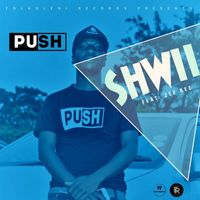 Push - Shwii (feat. Zee Bee)