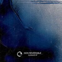 Non Reversible - Sundaze EP