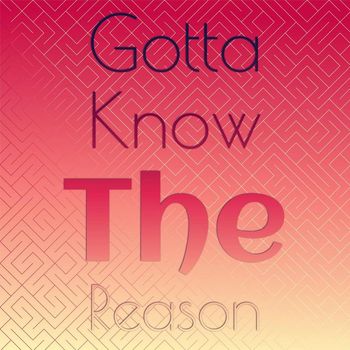 Various Artist - Gotta Know the Reason