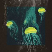 HawkOne - Underwater